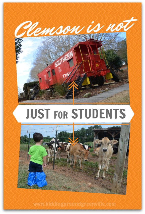 I had no idea that Clemson University had so many great things to do with kids. This list is great!
