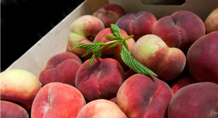 Where to Pick your own peaches in Greenville