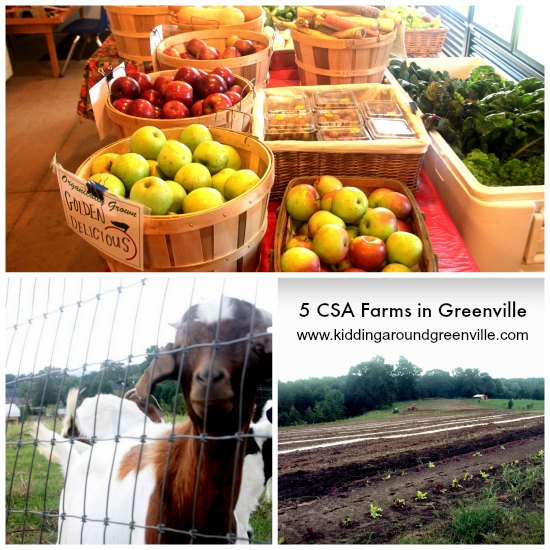 CSA Farms Near Greenville