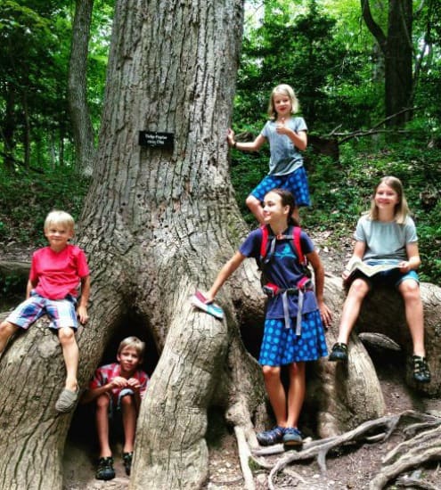 Children standing at a tulip poplar planted by George Washington.