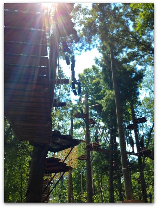 TreeTop Adventure course at Asheville Adventure Park