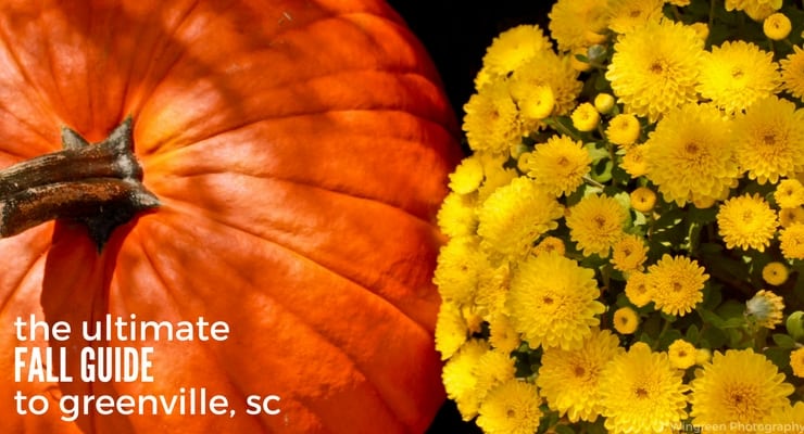 Fall farms, orchards, and festivals in Greenville