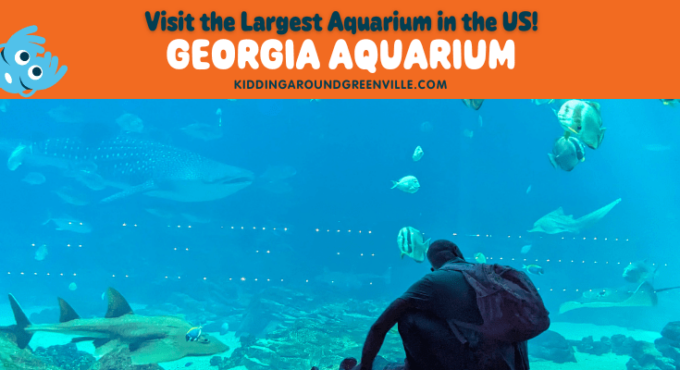 The Georgia Aquarium in Atlanta, Georgia