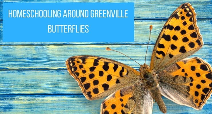 Homeschooling ARound Greenville Butterflies
