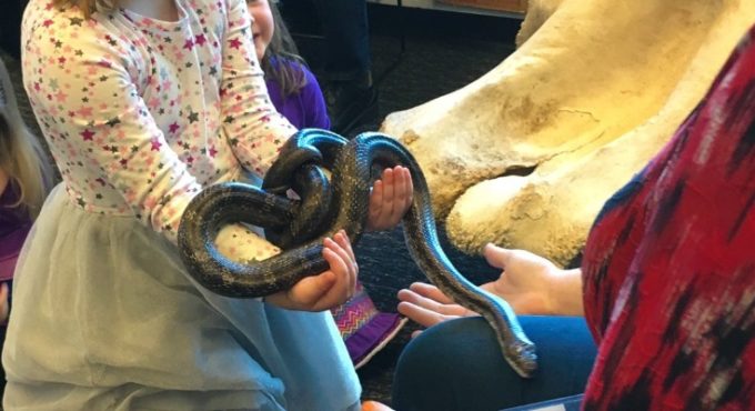 Spartanburg Science Center