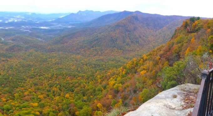 Fall Foliage