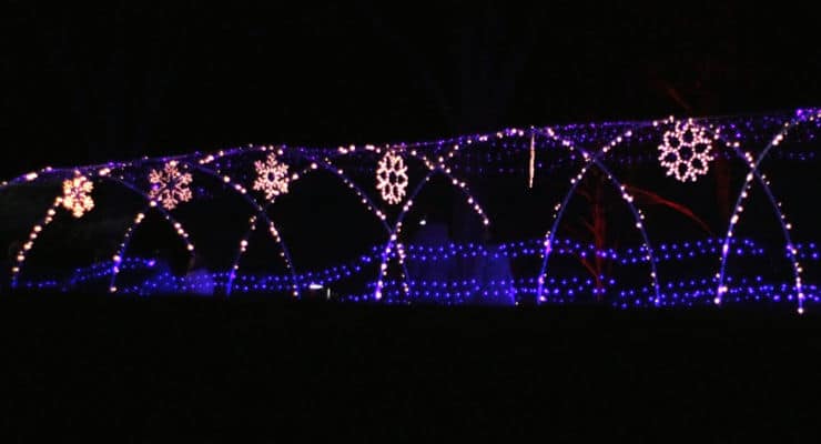 Row of arched lights with snowflakes hanging from the top