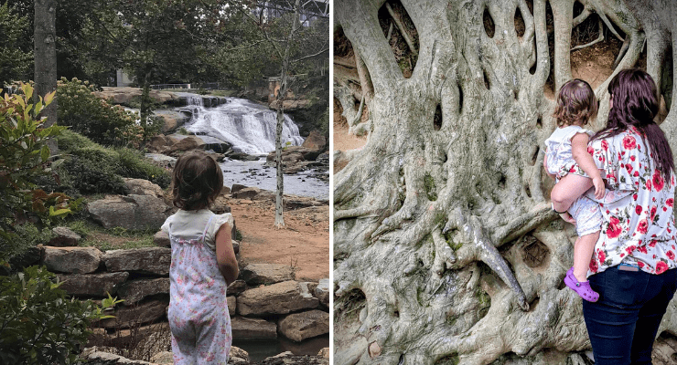 Looking at the falls and Medusa Tree, at Falls Park, Greenville, SC