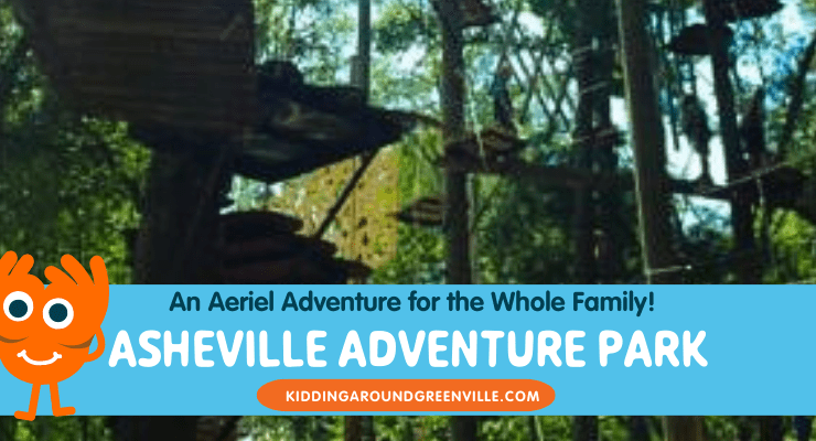 ashville adventure park at the asheville adventure center 