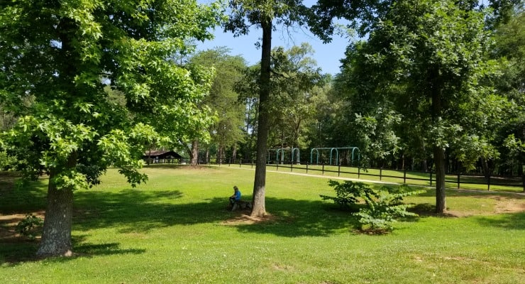 Timmons Park in Greenville