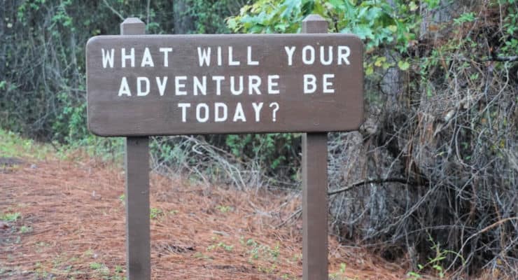 Brown park sign with text "What will your adventure be today?"