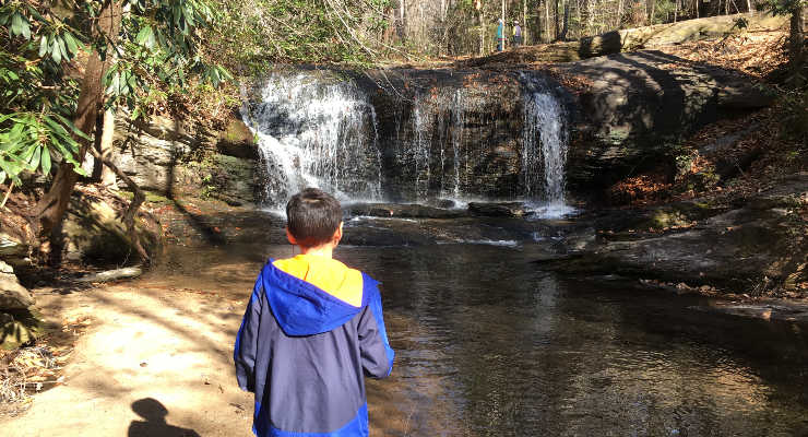 A boy looking at a waterfall and swimming hole