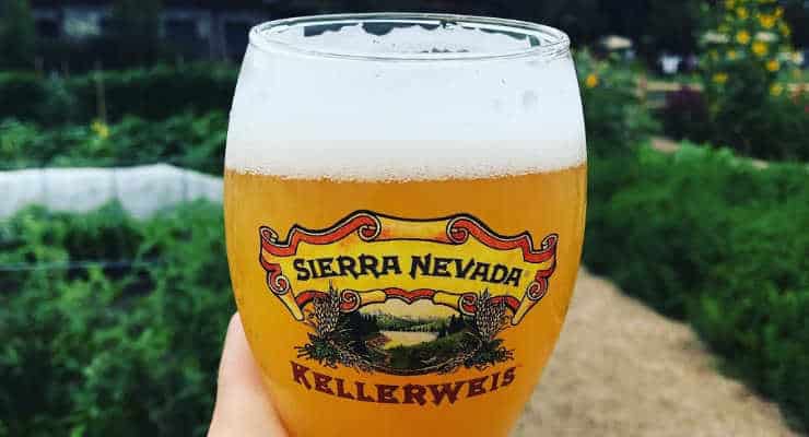Beer from Sierra Nevada Brewery
