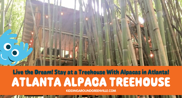 This Atlanta Treehouse Is Tucked in a Bamboo Forest with Alpacas