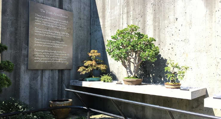 NC Arboretum Bonsai Garden and Exhibits