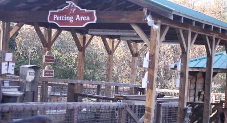 Petting Zoo at WNC Nature Center