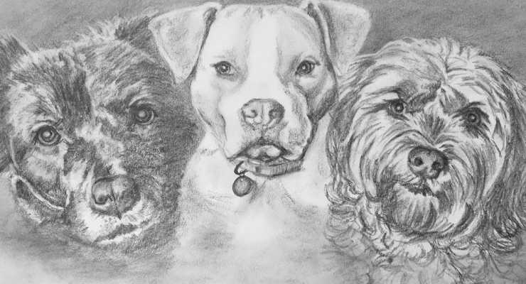 Pencil art of dogs