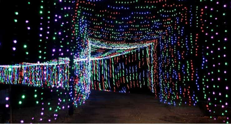 Upstate Holiday Light Show light tunnel