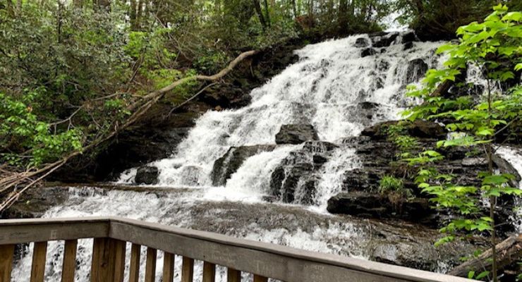Vogel State Park waterfall