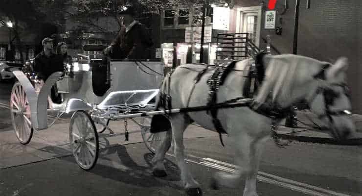 Carriage rides near Greenville, SC