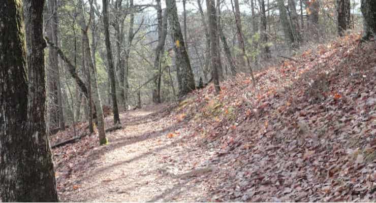 Brissy Ridge Trail