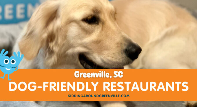 Dog-friendly restaurants in greenville, sc
