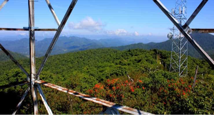 View of bright green trees and the Blue Ridge Mountains from Frying Pan Tower.