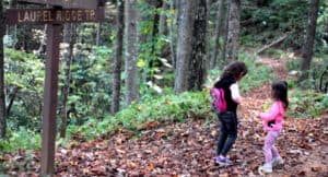 Best Hikes for Toddlers and Young Kids Near Greenville, SC