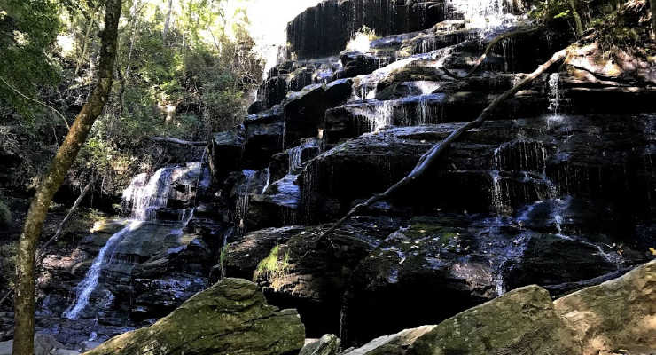 waterfall at Yellow Branch Falls