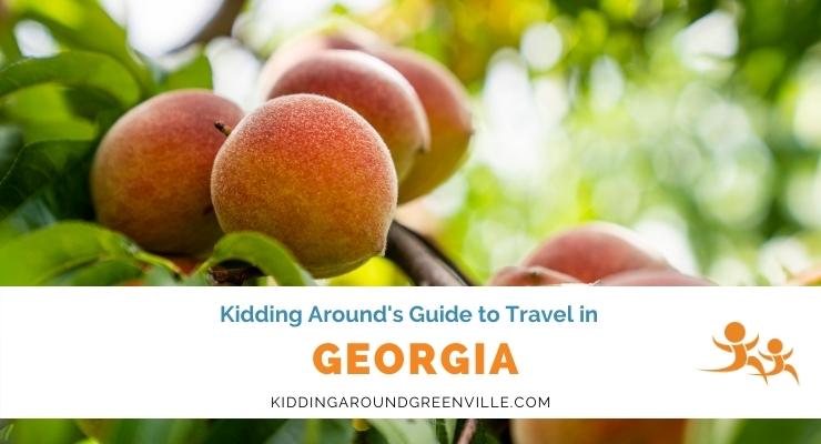 guide to travel through georgia