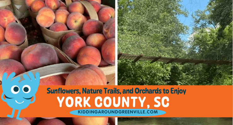 Guide to visiting York County, South Carolina