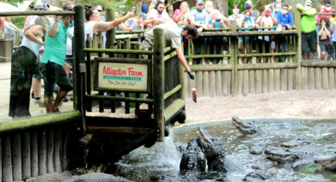 St. Augustine Alligator Farm