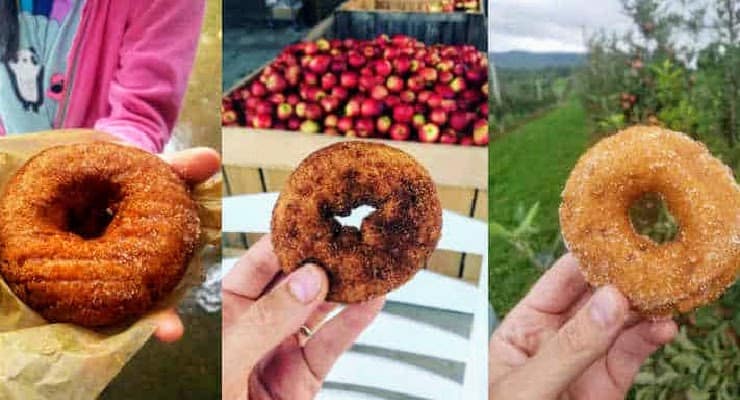 apple cider donuts in NC
