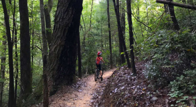 Stumphouse Mountain biking trail