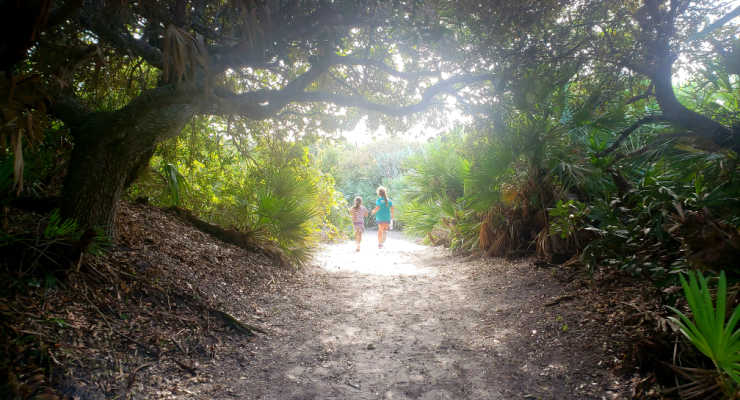 Two girls walking along sunny path