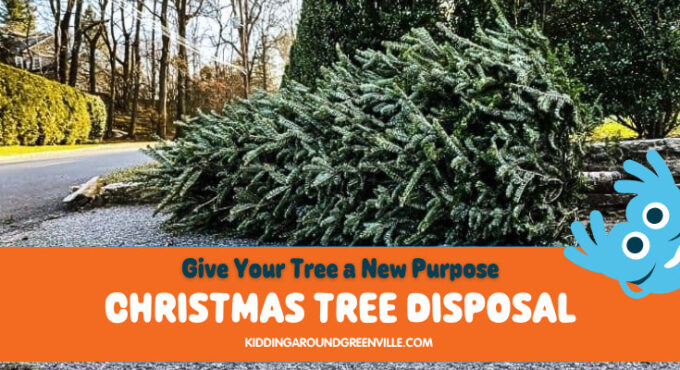 Christmas tree disposal near Greenville, SC