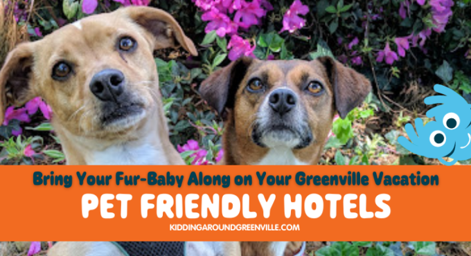 Pet friendly hotels in Greenville, South Carolina