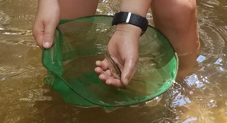 Catching a little fish