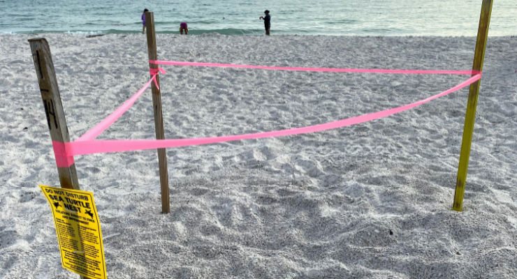 Protected sea turtle nest in a roped off section of Merritt Island Wildlife Refuge
