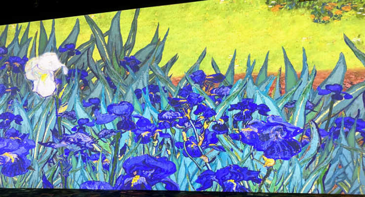 van gogh exhibit lilies artwork