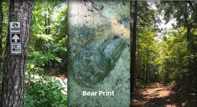 Blue Ridge Electric Co-op Passage of the Palmetto Trail