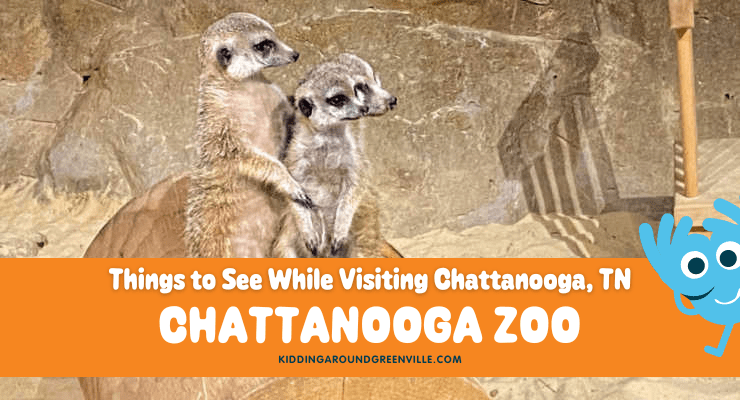Things to see while visiting the Chattanooga Zoo in Tennessee.