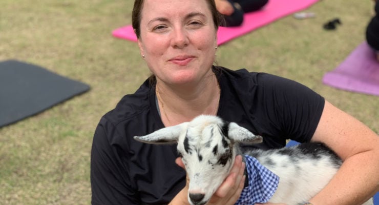 Goat cuddles at Greenville Goat Yoga