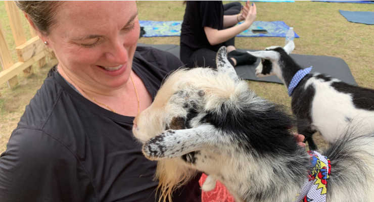 Yoga with Greenville Goat Yoga