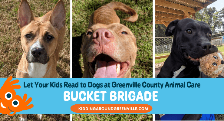 Greenville County Animal Care Bucket Brigade Youth Volunteer Program