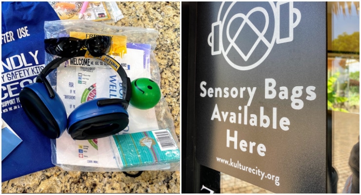 BSWA Sensory Bag / KultureCIty Sign