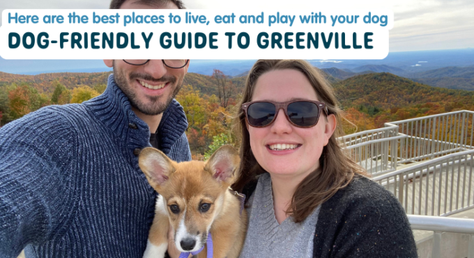 Dog Friendly Guide to Greenville, SC