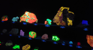 Bob Campbell Geology Museum in Clemson, SC