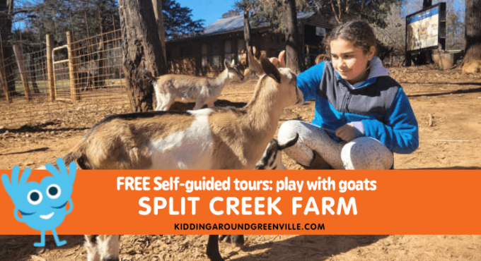 Split Creek Farm goat tour