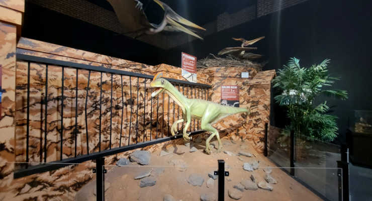 Schiele Museum Dino